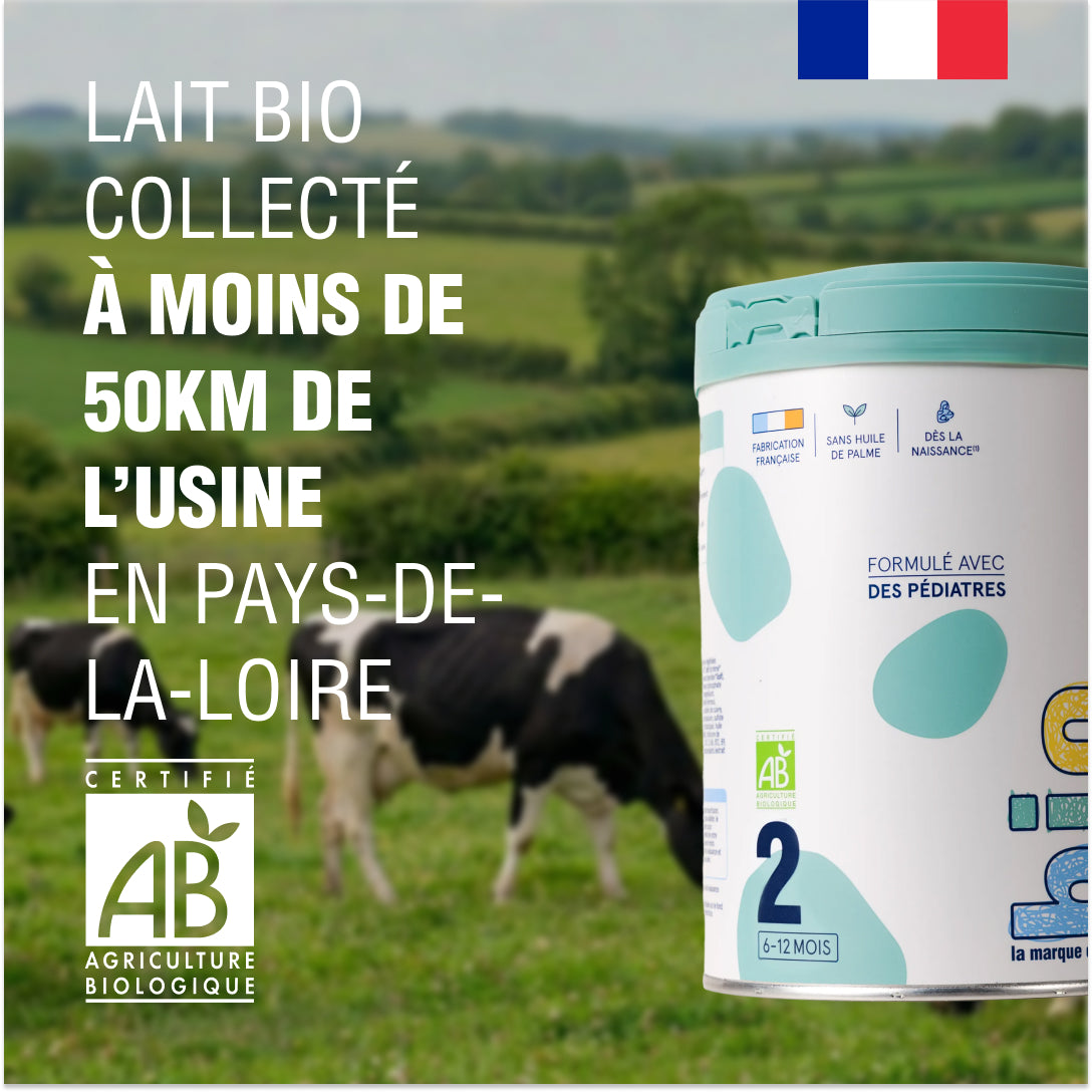 Carton de 6 boîtes Lait Infantile Bio Age 1